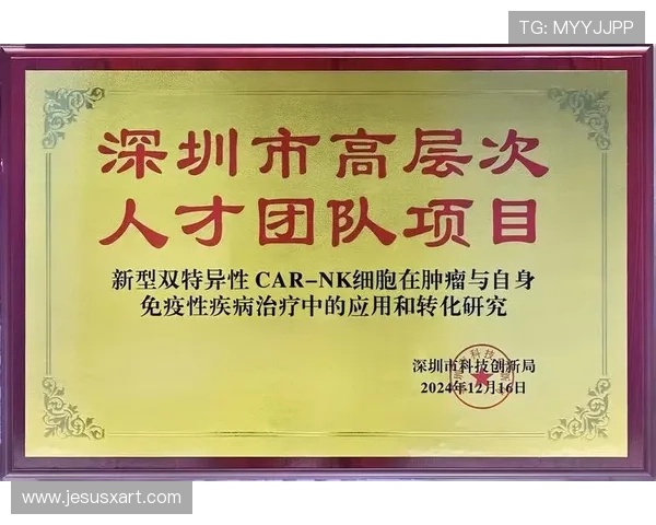 凯发k8手机客户端最新版本更新内容详解提升游戏性能与用户体验